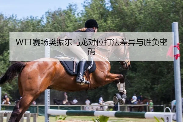 WTT赛场樊振东马龙对位打法差异与胜负密码