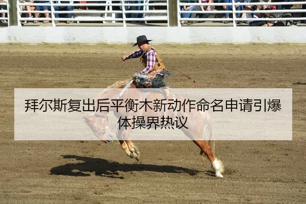 bai-er-si-fu-chu-hou-ping-heng-mu-xin-dong-zuo-ming-ming-shen-qing-yin-bao-ti-cao-jie-re-yi-2-581.jpg