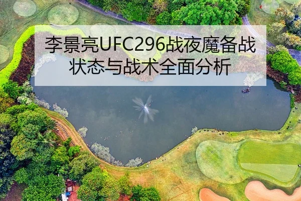 李景亮UFC296战夜魔备战状态与战术全面分析